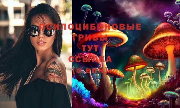 хмурый Надым