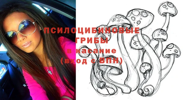 хмурый Надым