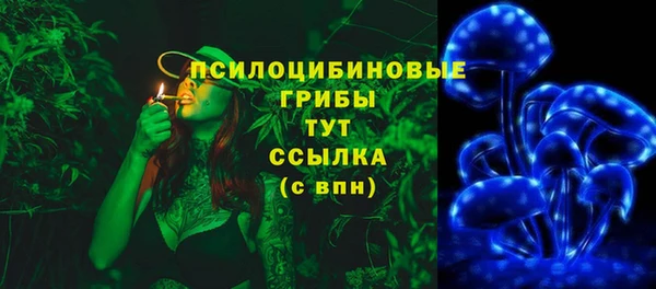 хмурый Надым