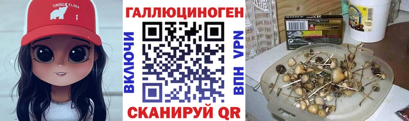 продажа наркотиков  Северская  Псилоцибиновые грибы мицелий 