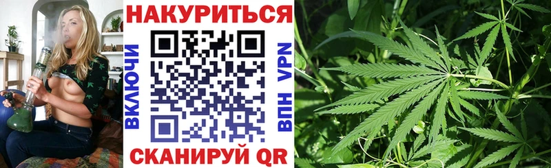 как найти закладки  Северская  Бошки марихуана конопля 